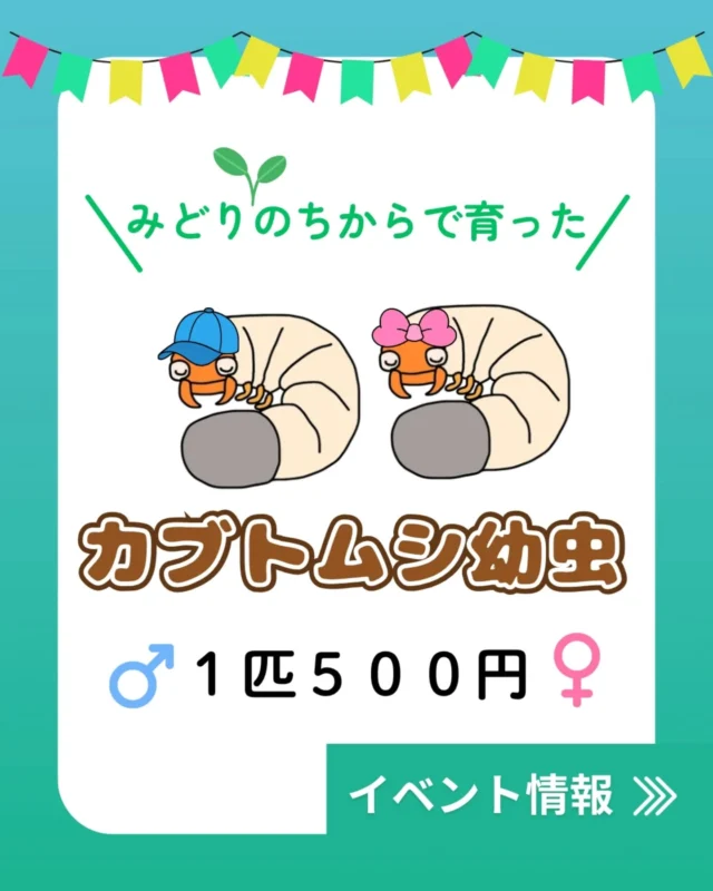 みどり産業株式会社｜廃棄物の収集・処理・リサイクル
